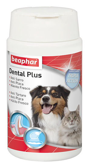 DENTAL PLUS