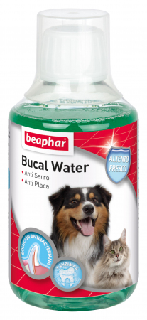 BUCAL WATER PERRO Y GATO