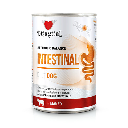 DIETA HÚMEDA PERRO INTESTINAL