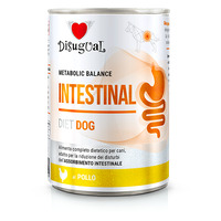 DIETA HÚMEDA PERRO INTESTINAL