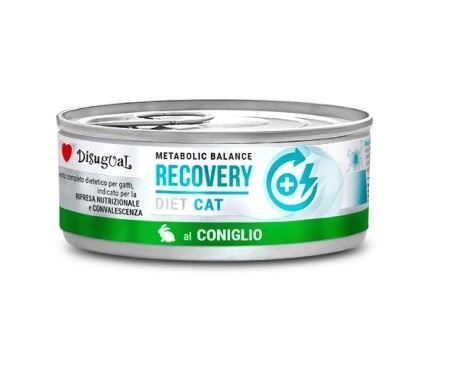 DIETA HÚMEDA GATO RECOVERY