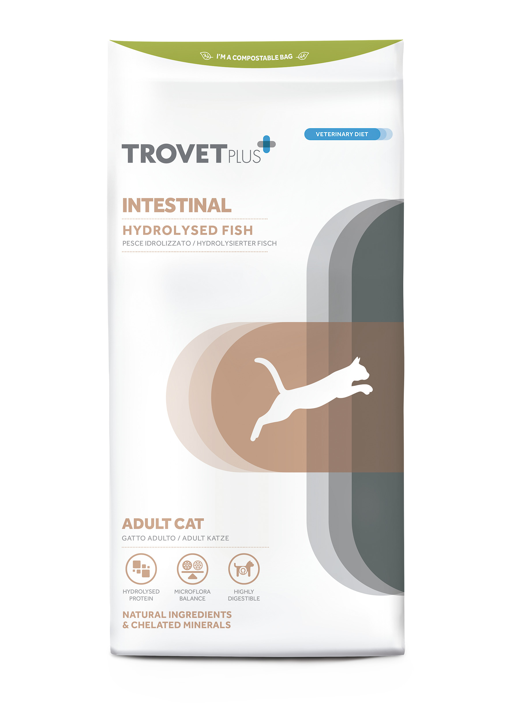 CAT INTESTINAL HYDROLISED