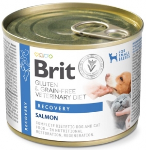 DOG/CAT RECOVERY WET
