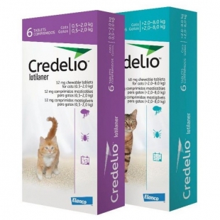 CREDELIO GATO