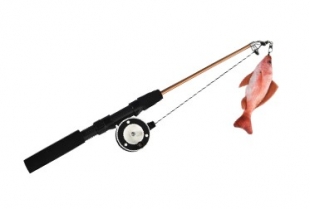 FISHING ROD