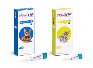 BRAVECTO SPOT ON CAT