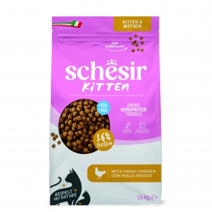 SCHESIR DRY GATO KITTEN