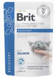 BRIT DIET GF CAT POUCH RECOVERY