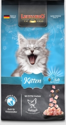 LEONARDO KITTEN