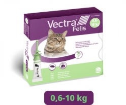 VECTRA FELIS GATO