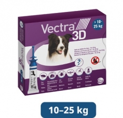 VECTRA 3D PERRO