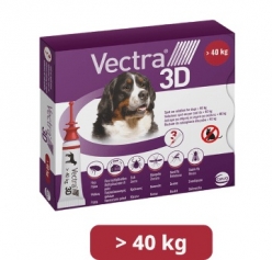 VECTRA 3D PERRO