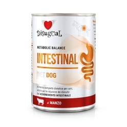 DIETA HÚMEDA PERRO INTESTINAL