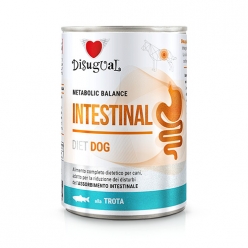 DIETA HÚMEDA PERRO INTESTINAL