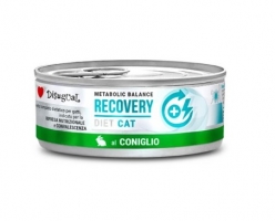 DIETA HÚMEDA GATO RECOVERY
