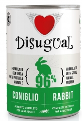 DISUGUAL DOG
