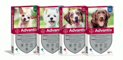 ADVANTIX ( PERROS <4 KG)