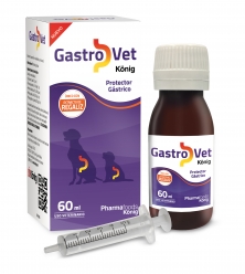 GASTROVET