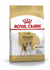 BEAGLE ADULT