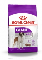GIANT ADULT
