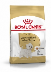 WESTIE ADULT