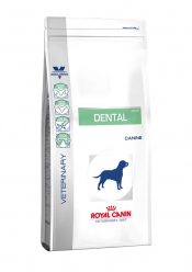 CANINE DENTAL