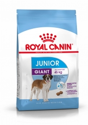 GIANT JUNIOR