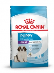 GIANT PUPPY
