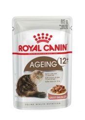 AGEING +12 WET
