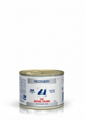 RECOVERY WET
