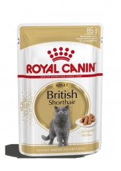 BRITISH SHORTHAIR WET