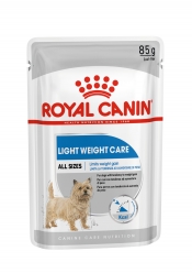 LIGHT WEIGHT CARE WET