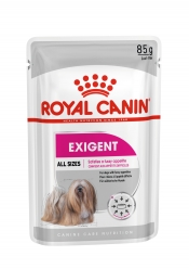 EXIGENT CARE WET