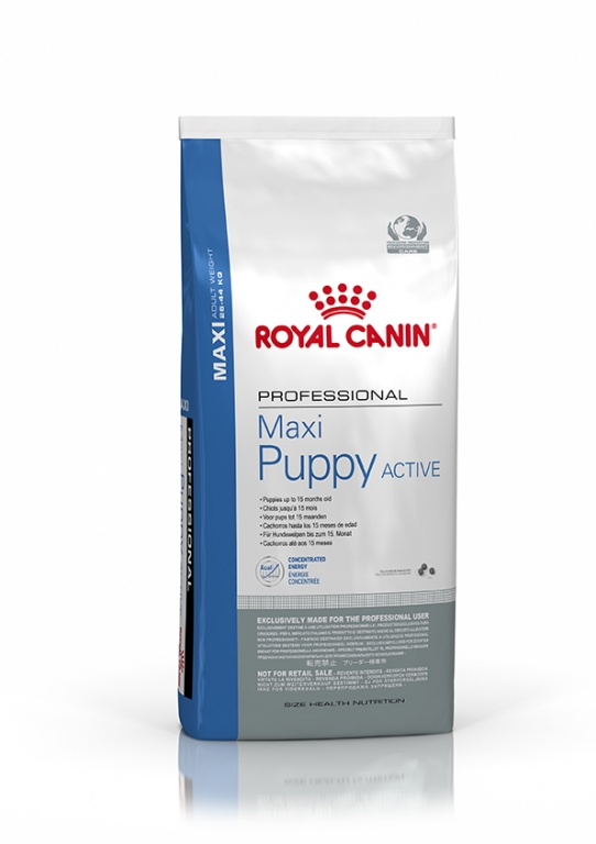 Роял канин макси паппи. Royal Canin Maxi Puppy. Maxi Puppy Royal Canin фото.