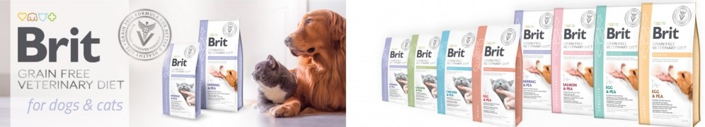 brit