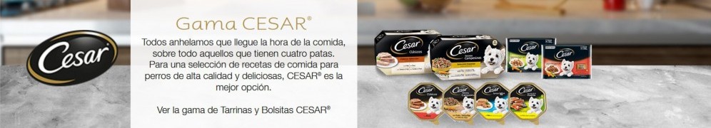 cesar