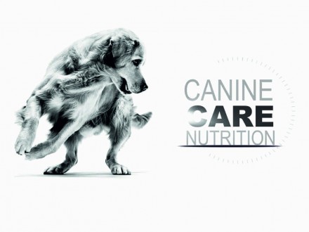 CANINE CARE NUTRITION