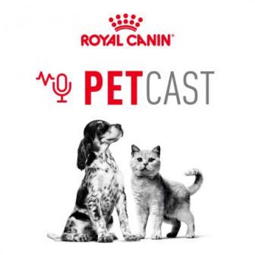 Royal Canin presenta un canal de podcast sobre bienestar animal